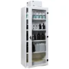 Armoire De Sécurité CYLTEC Avec Ventilation Filtrante Intégrée Pour Produits Corrosifs – AFFBE1C en ligne 5